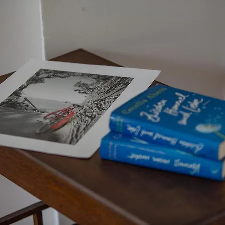 Vineyards - Schoenes Naehe Cochem Mosel 펜션 *