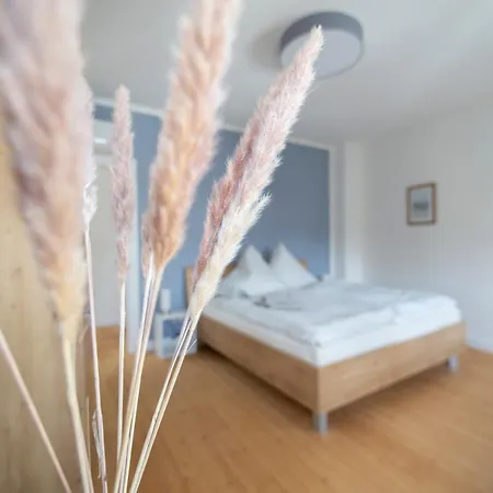 Vineyards - Schoenes Naehe Cochem Mosel * Pommern