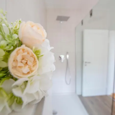 Vineyards - Schoenes Naehe Cochem Mosel 펜션 *