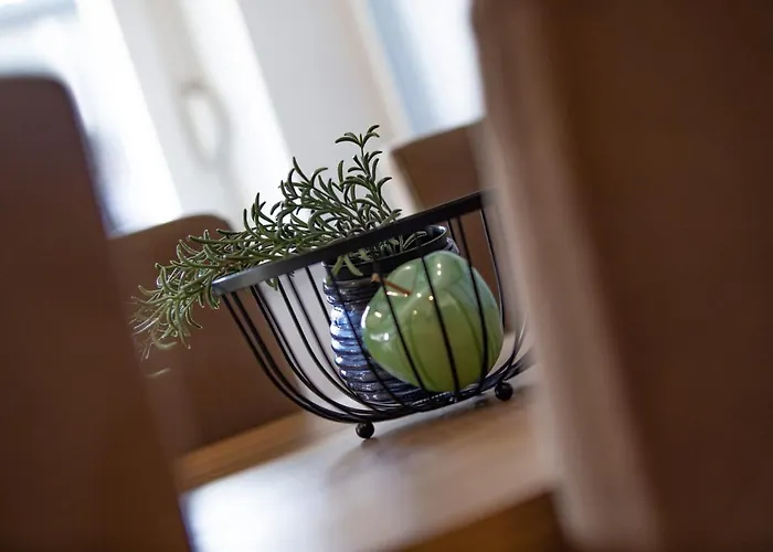 Vineyards - Schoenes Naehe Cochem Mosel *